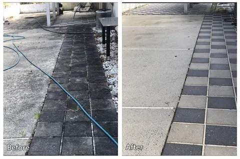 Sidewalk Repair in the Bronx